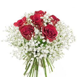 Lit by soft, even daylight on a crisp white background, this bouquet presents a masterful composition of classic floristry. Six richly coloured crimson roses unfold in a spiral of velvety petals, their edges just beginning to curl, each blossom hinting at affection and deep emotion. Interlaced with these passionate red blooms, a haze of snow-white gypsophila adds an ethereal touch, wrapping the roses in a cloud of light and purity. The nuanced textures-tender, plush rose petals paired with the airiness of baby's breath-invite the senses to linger. Fresh, bright green stems gather at the base, visible and neatly tied, suggesting quiet craftsmanship characteristic of skilled Crayford florists. The arrangement sits like a promise-uniquely suited for joyous occasions or for sending your thoughts to loved ones near Hall Place or Barnes Cray. The visual rhythm is balanced: each rose and each sprig of delicate filler flower purposely placed to evoke calm, romance, and understated celebration. The bouquet is not only beautiful but also universally appropriate, whether marking an anniversary or bringing a moment of peace and charm to a Crayford doorstep. Every element of this floral gift-the colours, the composition, the suggestion of gentle fragrance-evokes a sense of heartfelt elegance rooted in the welcoming spirit of Crayford.